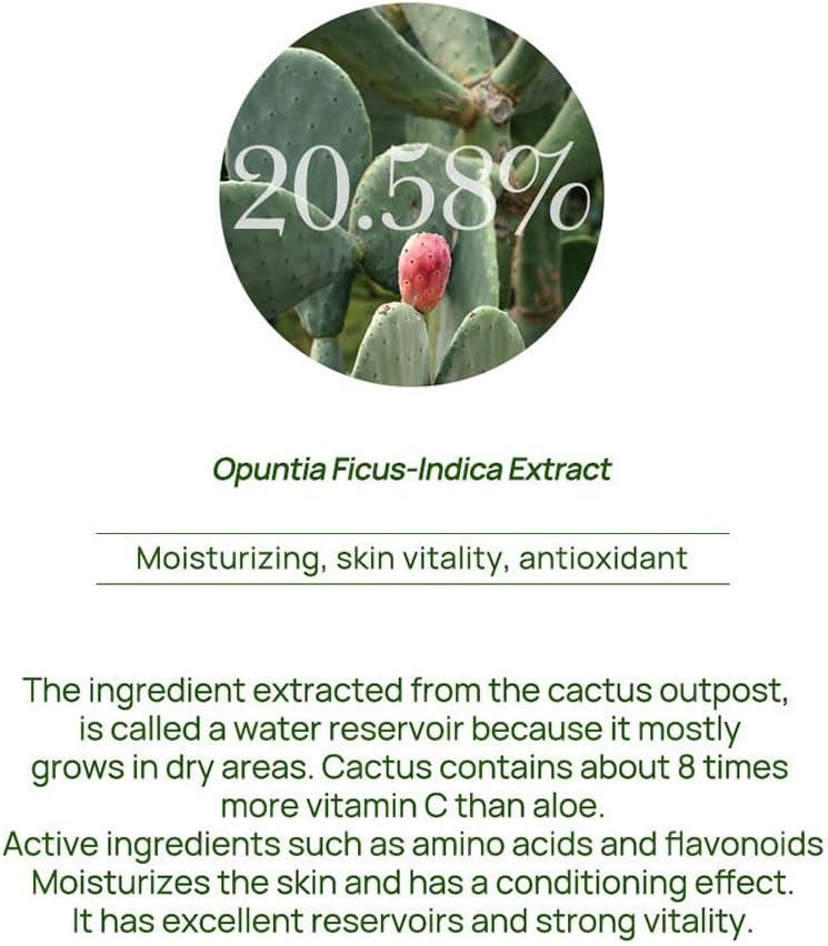 Buy Cactus Peeling Pore Toner | Gentle Exfoliation & Hydration for All Skin  Types - International Shipping Available | Buy Now with Express  International Delivery | GoSupps.com