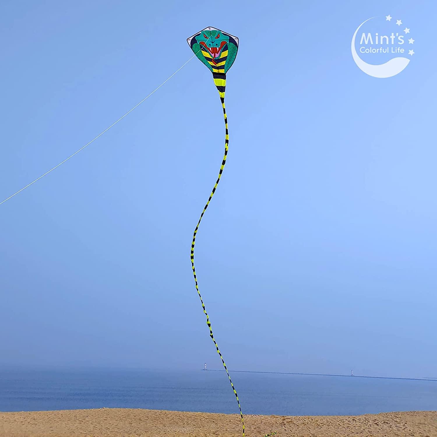 Large Cobra Kite for Adults Kids Boys with Super Long Tail (49 ft