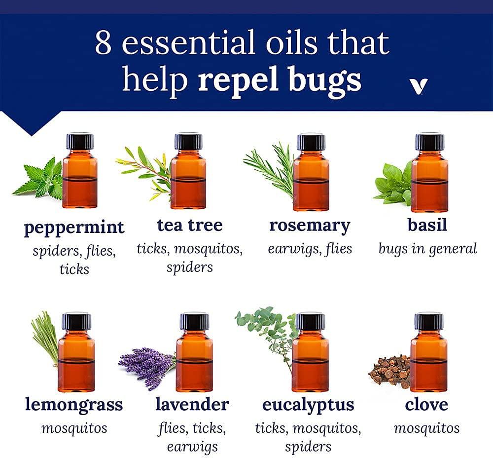 Now Foods Organic Essential Oils Eucalyptus 1 fl oz (30 ml)