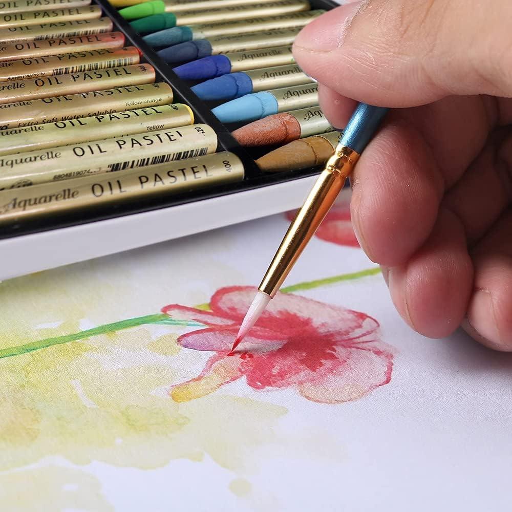 HA SHI Water Soluble Oil Pastels For Artists 24 Color Watercolor Crayons  Premium Quality Art Supplies for Kids Adults Water Soluble Oil Pastels  24color
