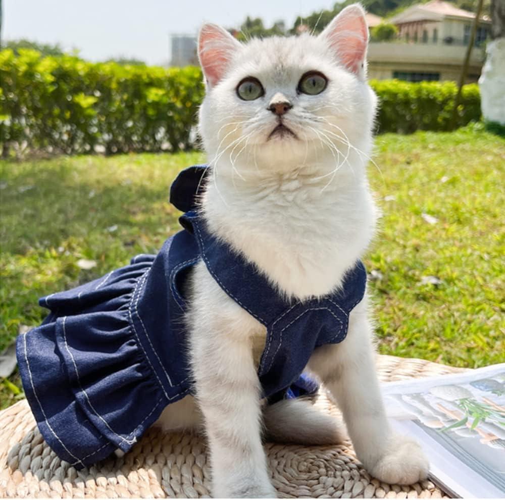 Cat girl clothes best sale