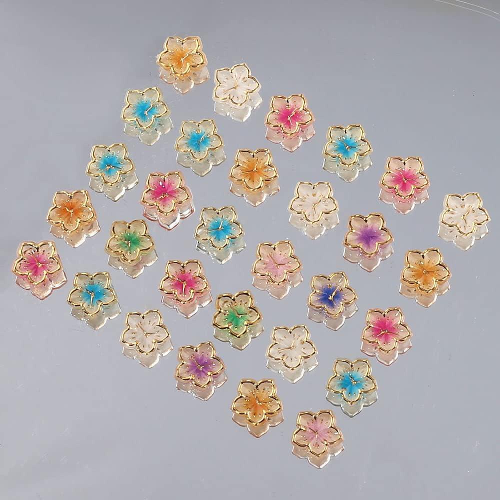 Dornail 30PCS Acrylic Flower Nail Charms 3D Gold Edge Flower Resin Charms  for Nails Mixed Colorful Flower Petals Nail Art Charms Floral Nail Charm  DIY Nail Supplies for Women Girls Nail Decorations