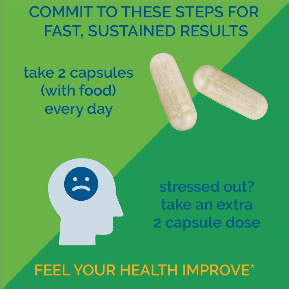 Clear Probiotics Brain and Mood Supplement - Supports Brain Fog Relief ...