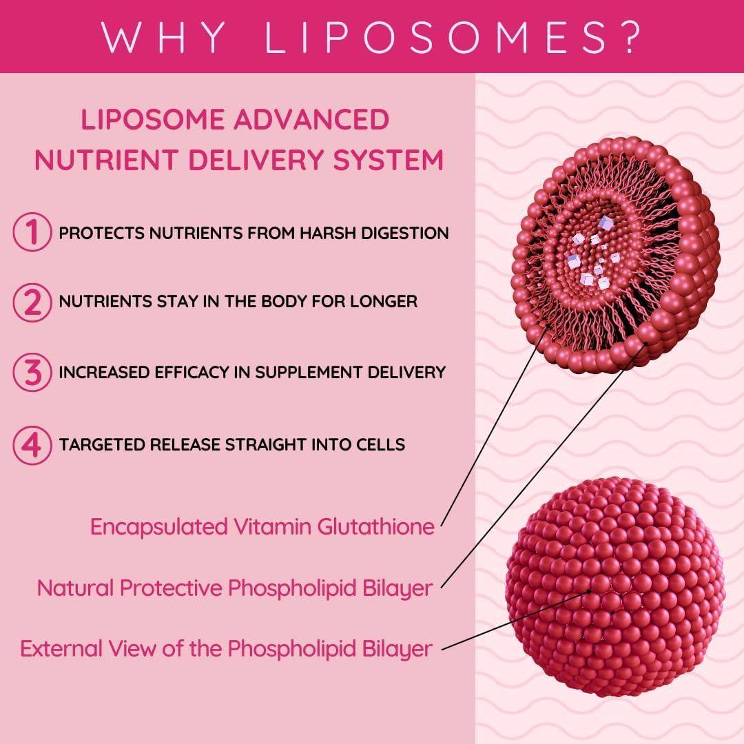 liposomal glutathione encapsulation in phospholipid liposomes Liposome mediated encapsulation and role of chitosan on modulating liposomal  stability to deliver potential bioactives-A review main image 1