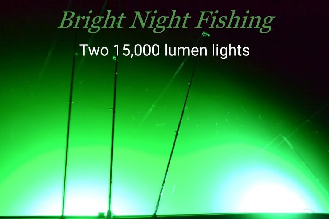 Bright Night Fishing Underwater Fishing Light Battery Clamps 25ft Cord  Green LED 15,000 lumens 300 LED Submersible Fish Attractor Boat and Dock  Lights Salt Water Fresh Water 12v DC Crappie BR:15000