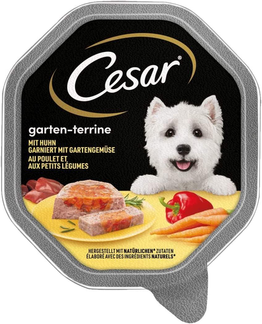 hund orthopdisches bett PAIKKA Orthopdisches Bett Rosa