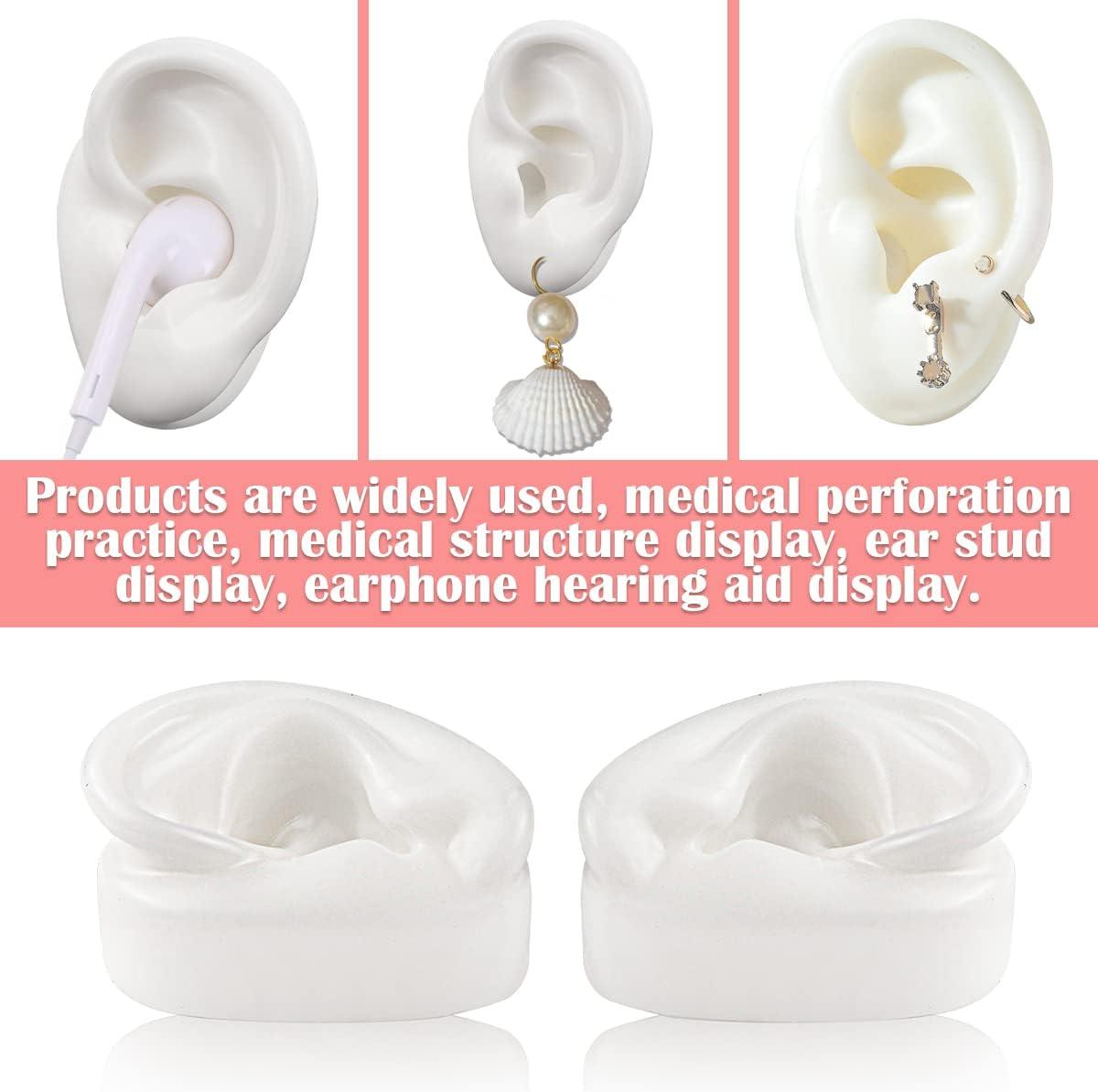 Large Silicone Ear Model for Acupuncture Practice and Jewelry Display ...
