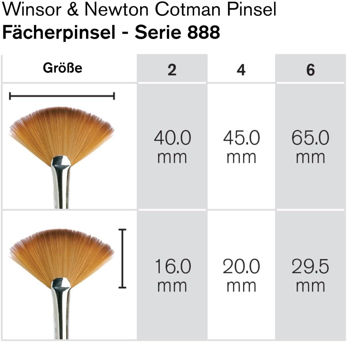 Winsor & Newton Cotman Brush, Series 888, Fan, 4