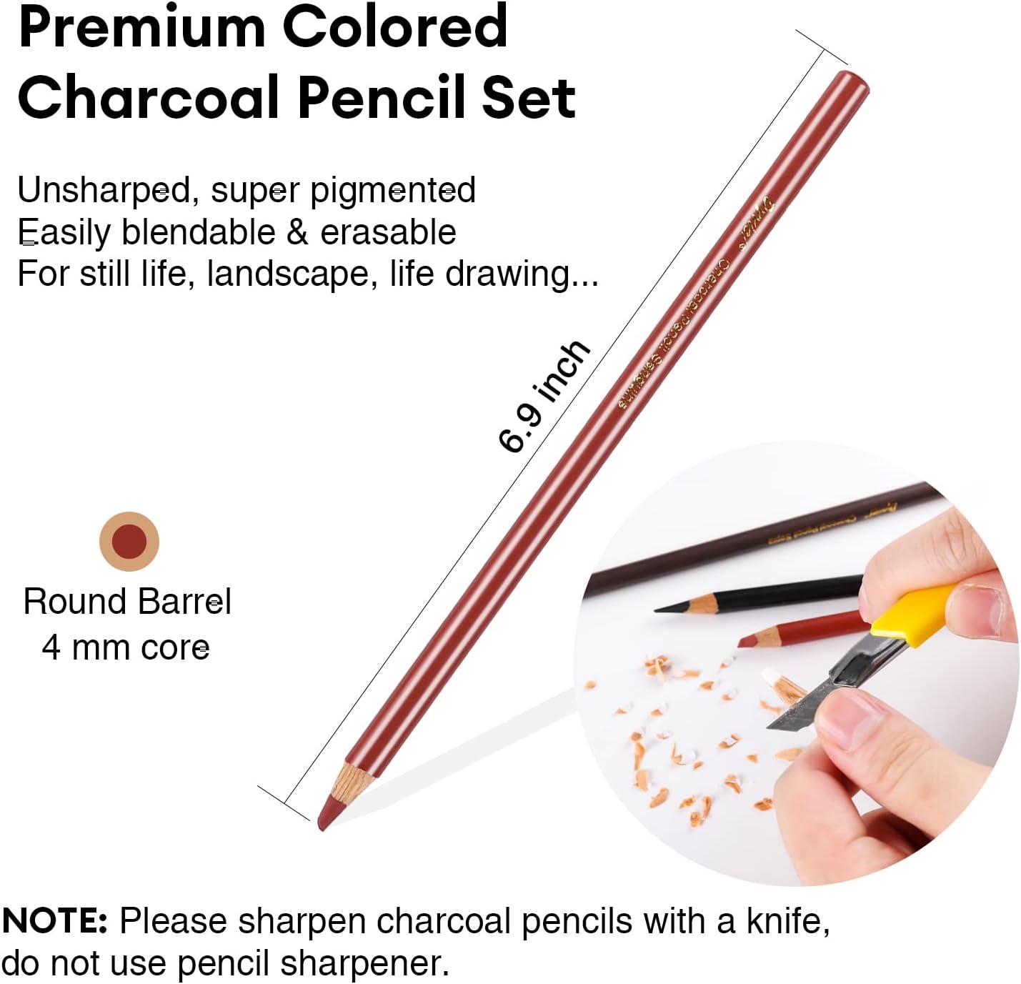 Dyvicl Charcoal Pencils Drawing Set 12 Pieces Colored Charcoal