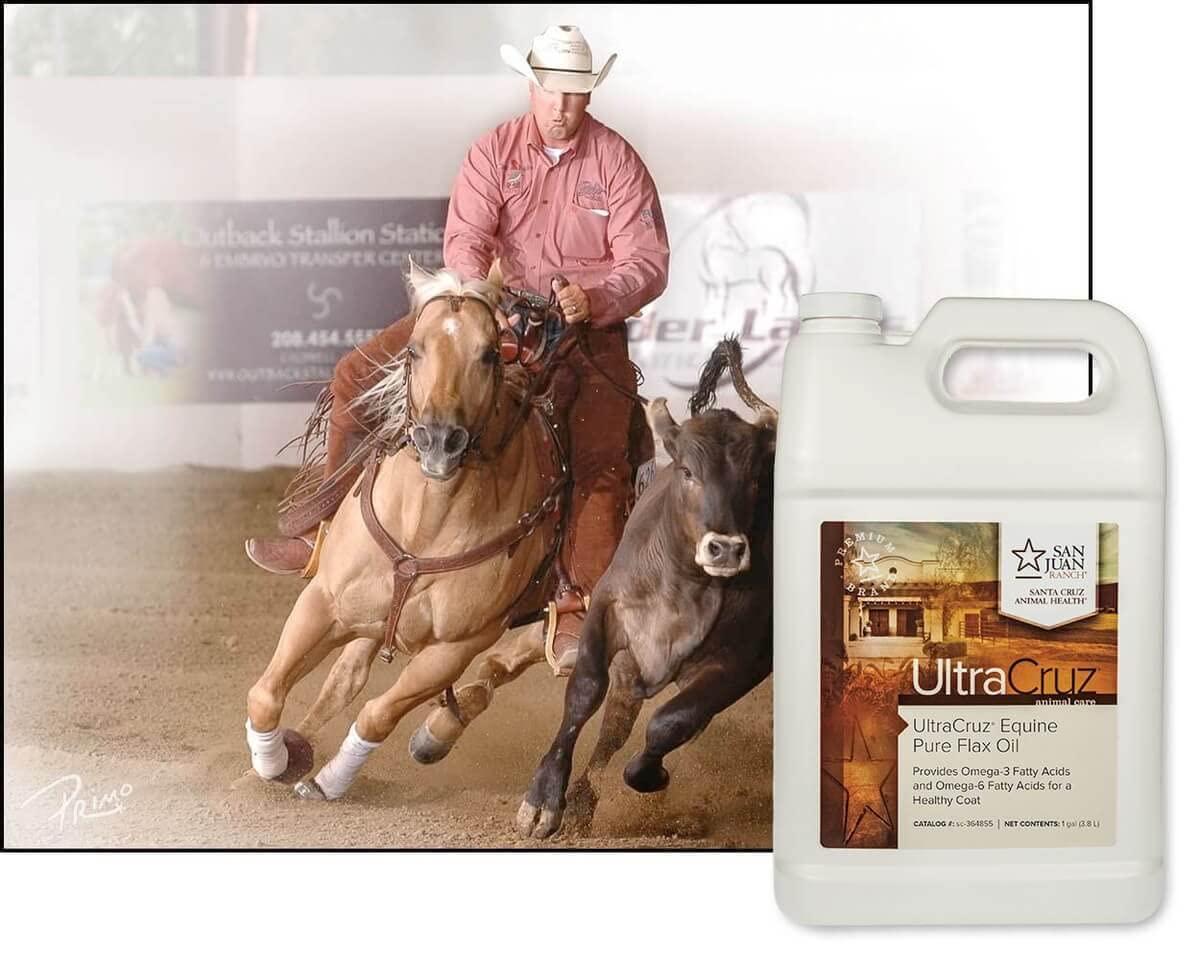 UltraCruz Pure Flax Oil Supplement for Horses and Livestock 1 Gallon