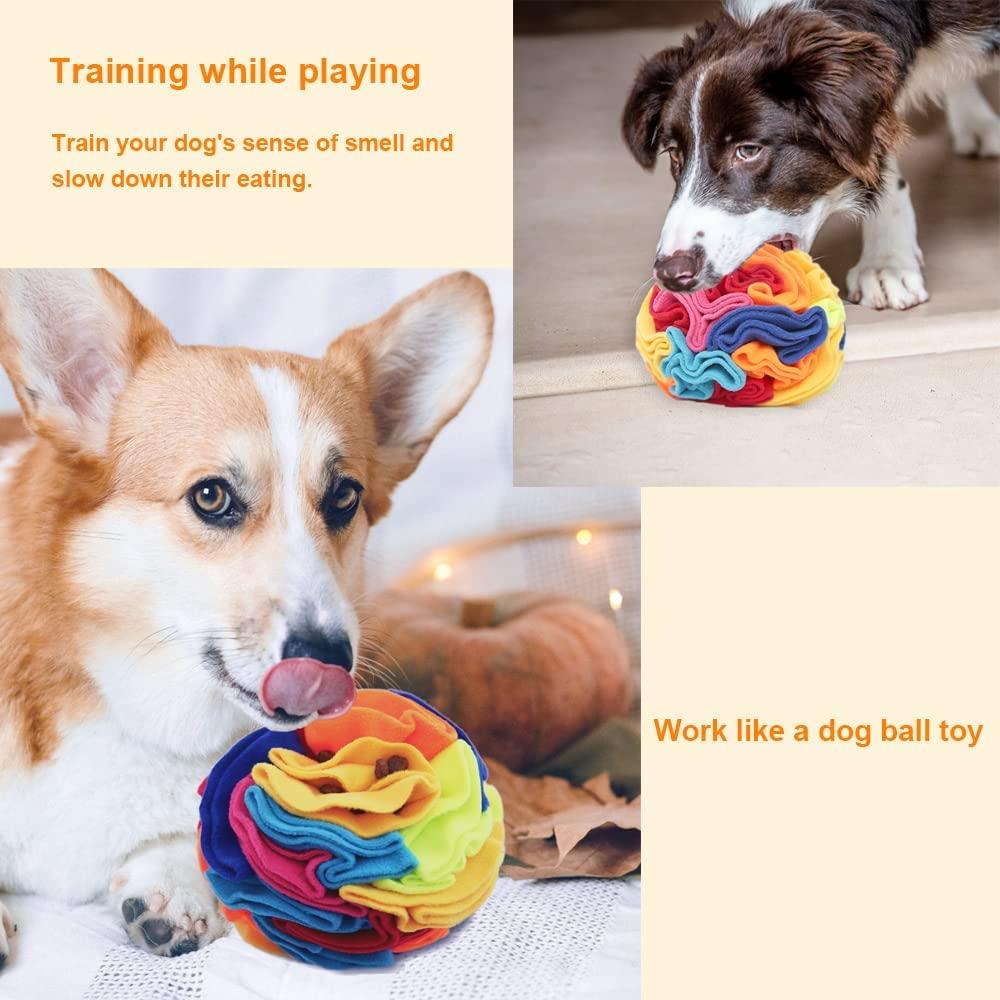 Ablechien Snuffle Mats for Dog Small - Dog Sniff Mat Foraging Mat for Dogs  Sniffing Mat Pad Blind Dog Toys Encourages Natural Foraging Skills for  Training and Stress Relief Medium Snuffle Ball