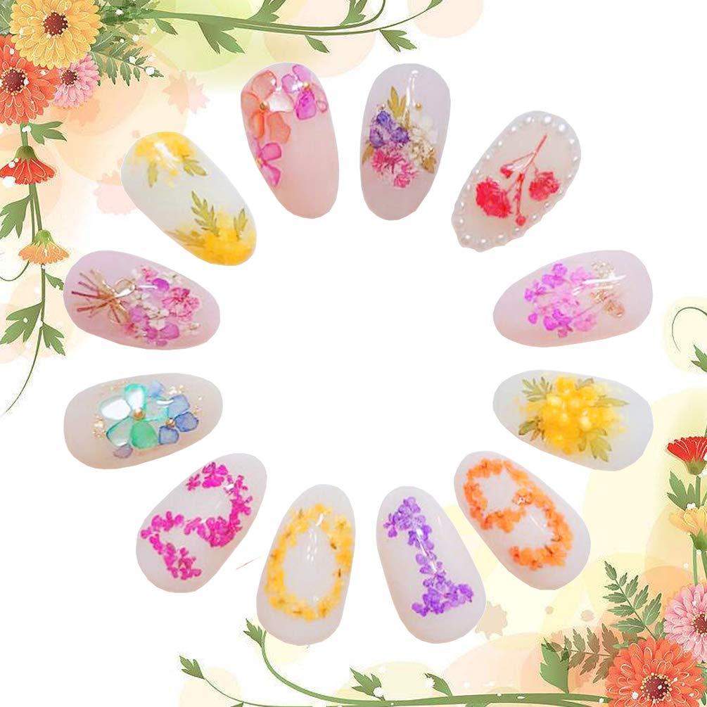 1 Box Dried Flowers for Nail Art KISSBUTY 12 Colors Dry Flowers Mini Real  Natural Flowers Nail Art Supplies 3D Applique Nail Decoration Sticker for  Tips Manicure Decor (Daffodils Flowers)