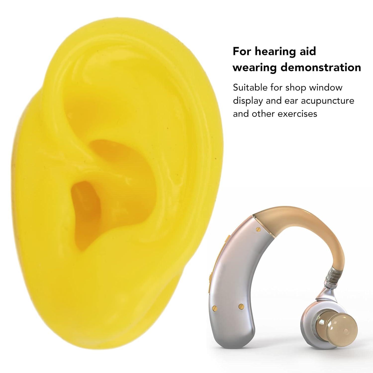 Soft Silicone Left Human Ear Model - Professional Teaching Aid for ...