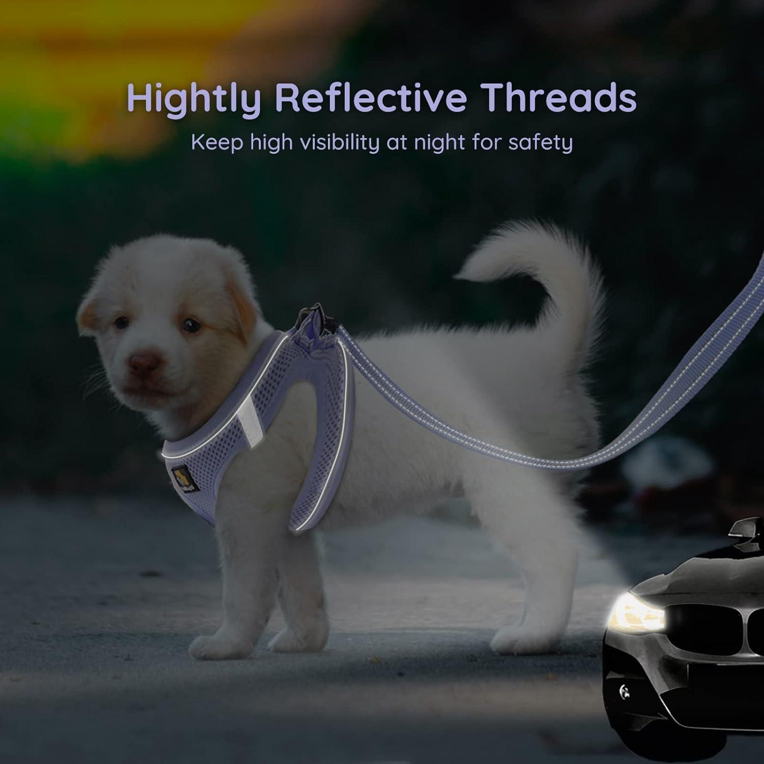 Dog Harness Medium Sized Dog PUPTECK Dog Harness And Leash Set For