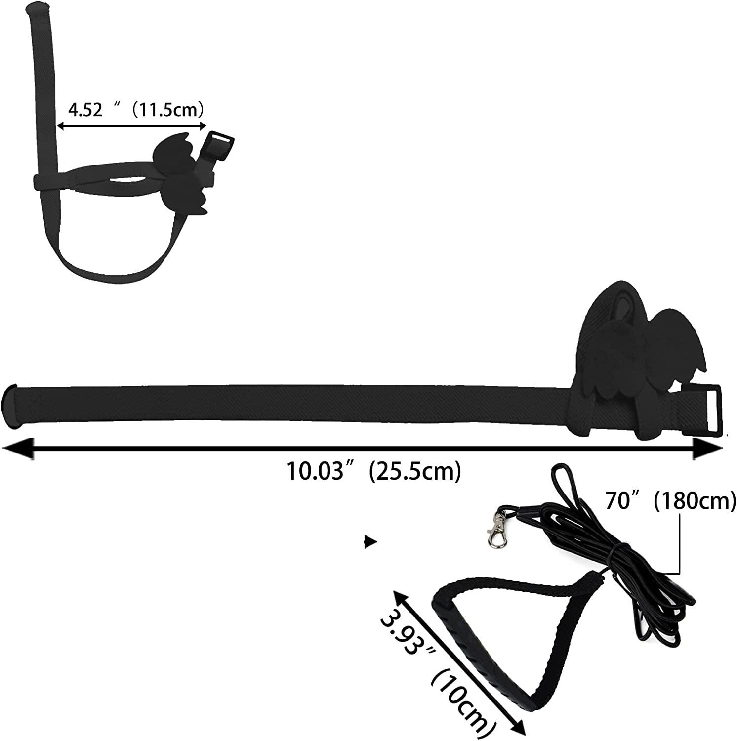 Dnoifne Pet Parrot Bird Harness and Leash, Adjustable Training Design