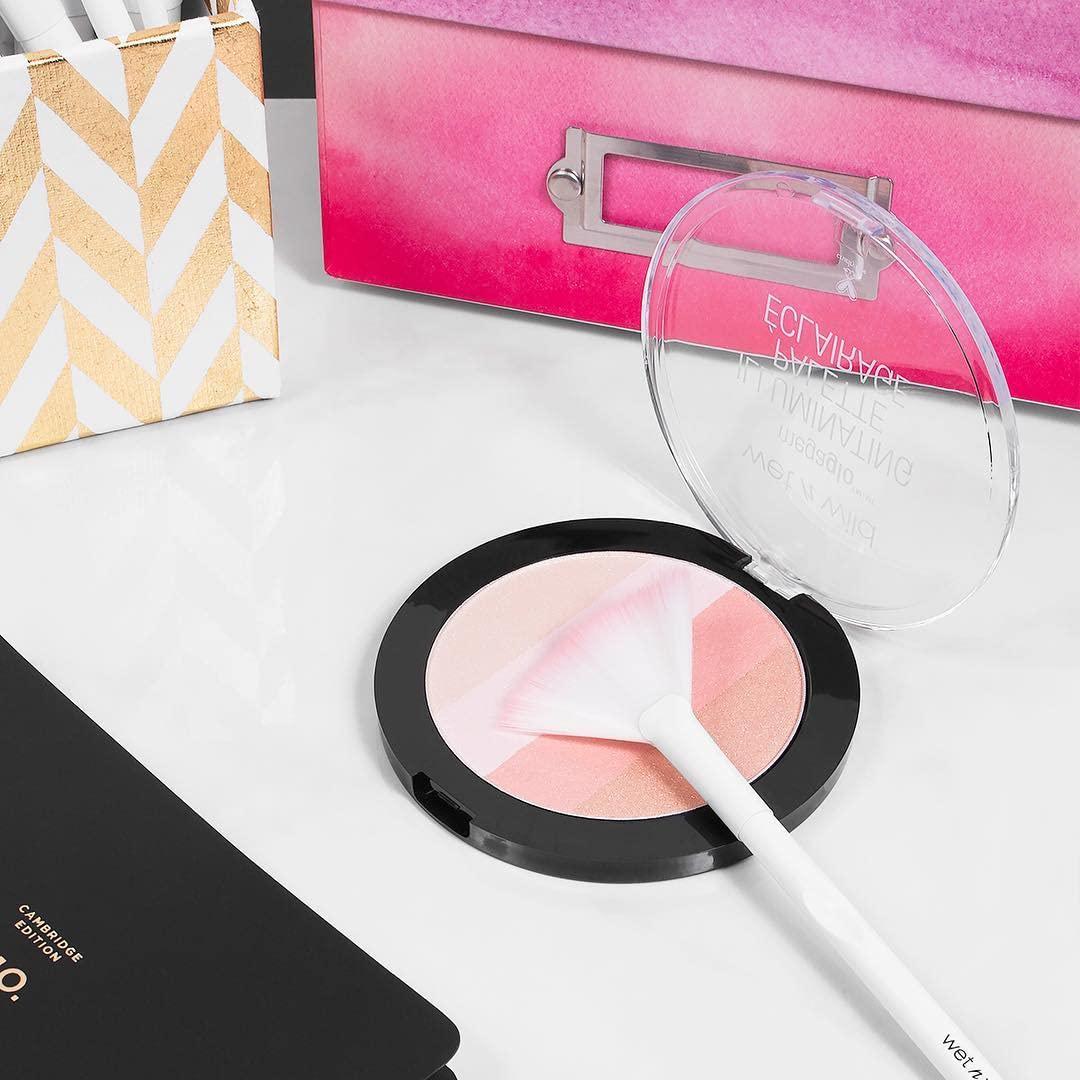 Blush Palette By Wet n Wild MegaGlo Illuminating Blush Makeup Powder