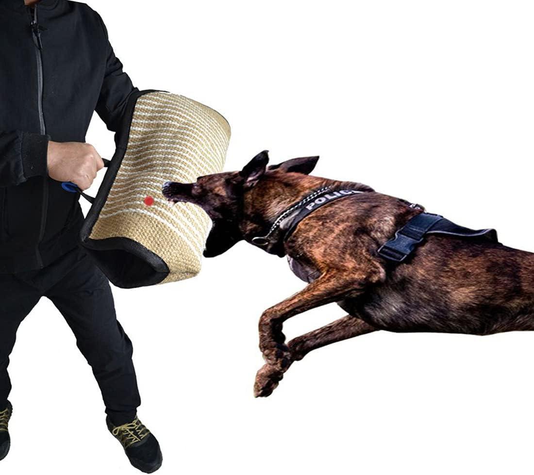 Dog Bite Best Dogs For Training And Protection Bite Training Arm