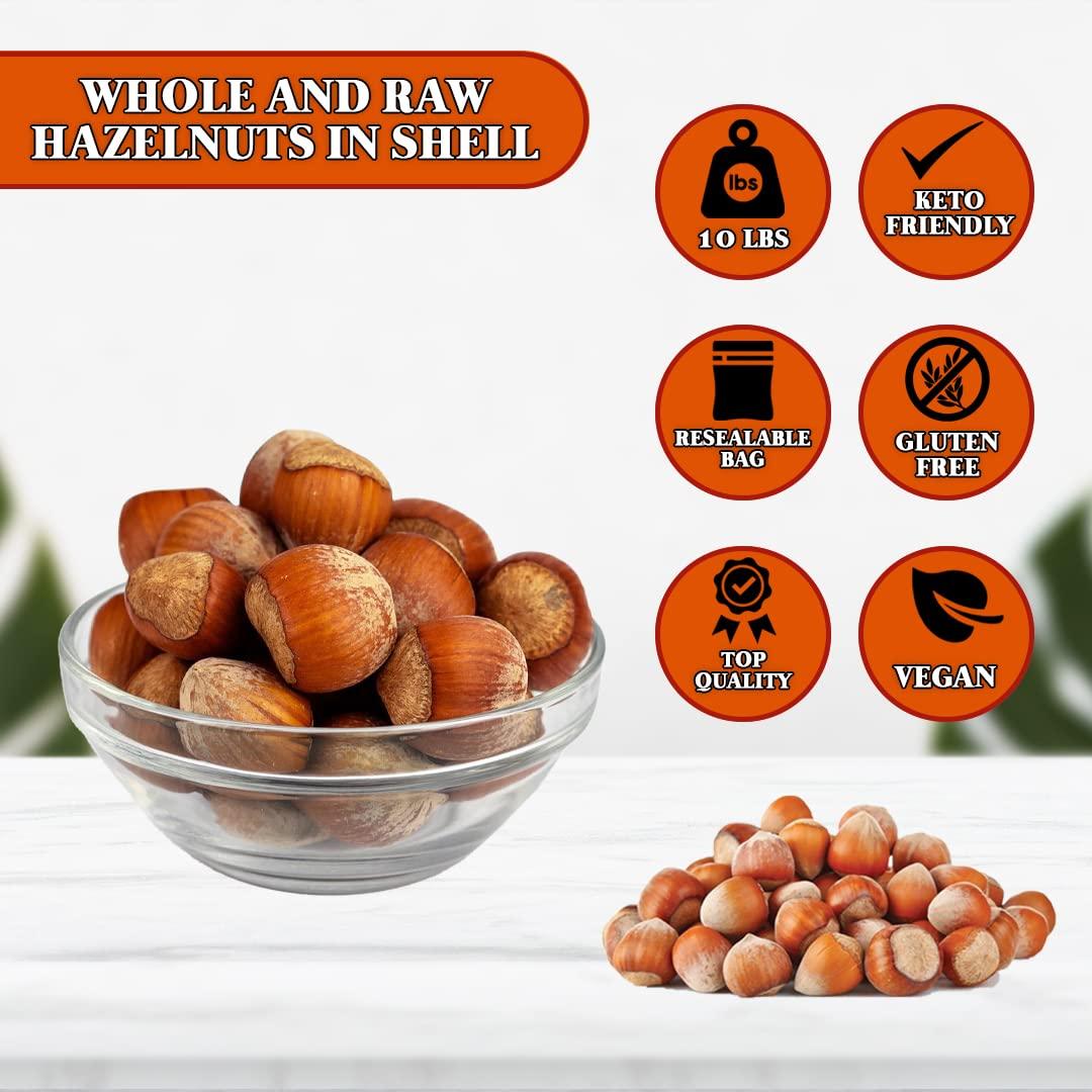 Presto Sales Hazelnuts (Filberts) Raw In Shell 160 oz. NonGMO