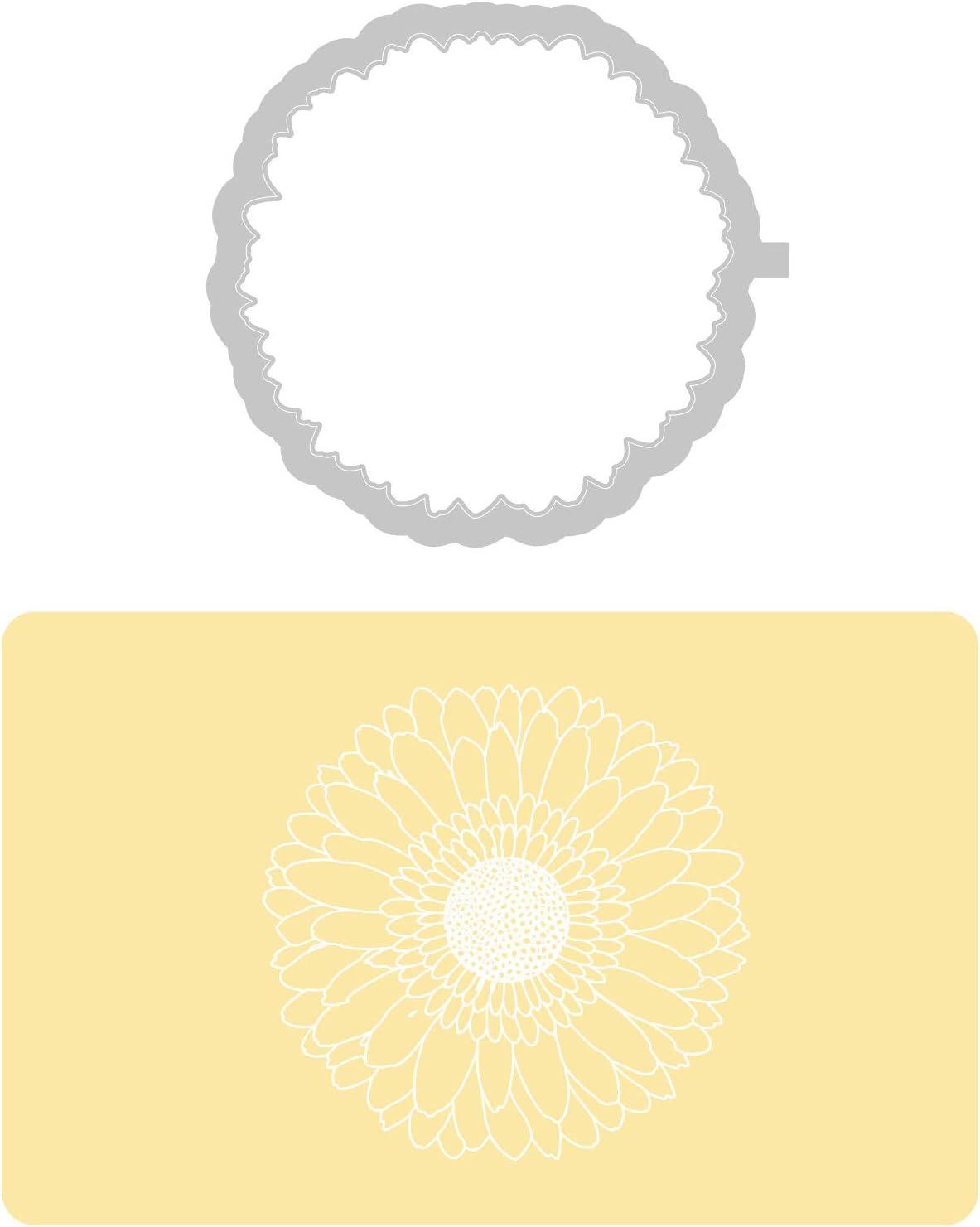 Sizzix • Thinlits Set 7 pezzi Shadow Box Frames #1 - Il Negozio della