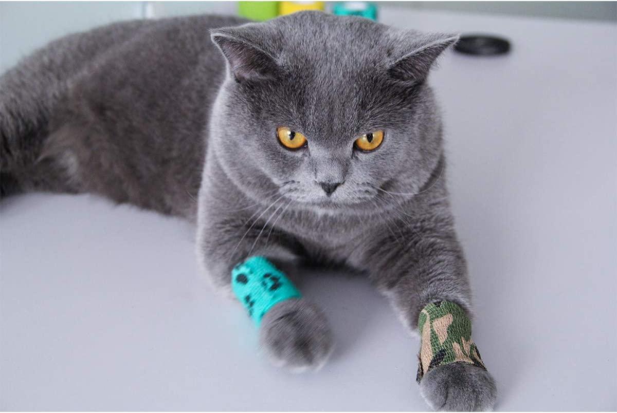 AUPCON Vet Wrap Cohesive Bandages Bulk Self Adhesive Bandage Wrap Self