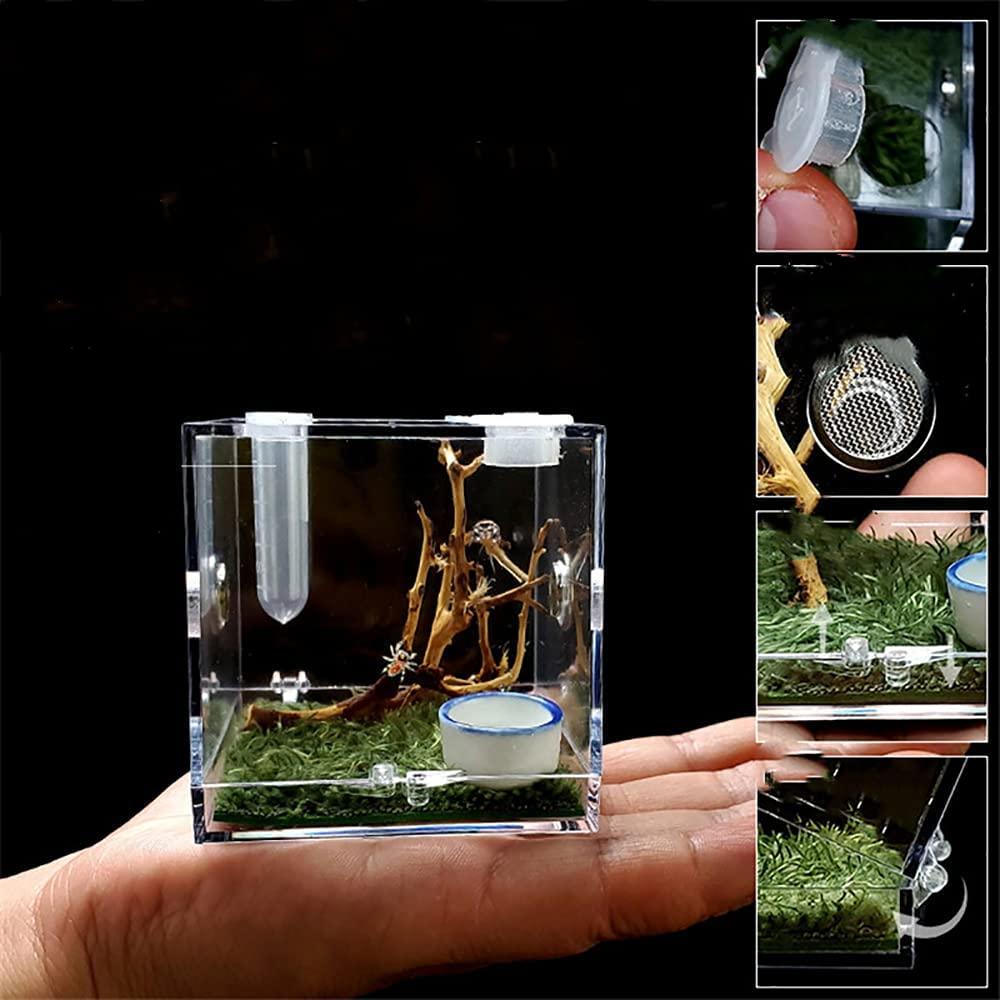 Acrylic Critter Keeper Jumping Spider Enclosure Snail Container House  Accessories Reptile Terrarium Insect Enclosure Tank Snail Spider Habitat  Cage Reptile Isopods Lizards Roach Feeding Box
