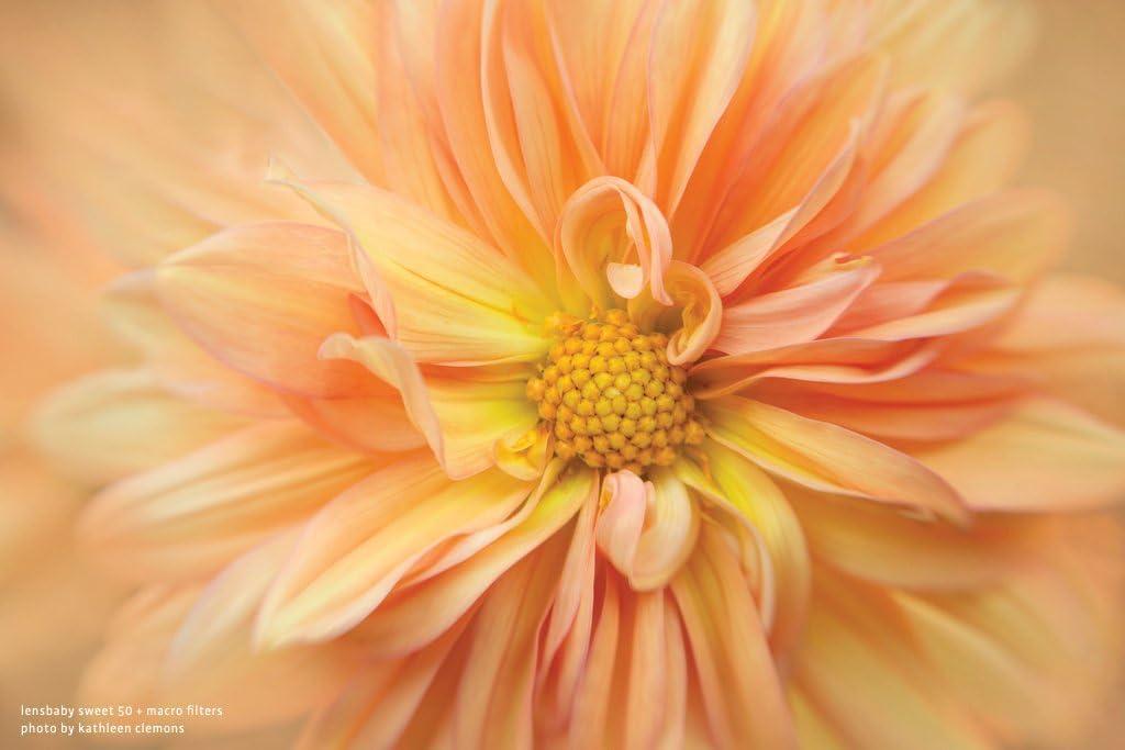 lensbaby 46mm macro filter kit