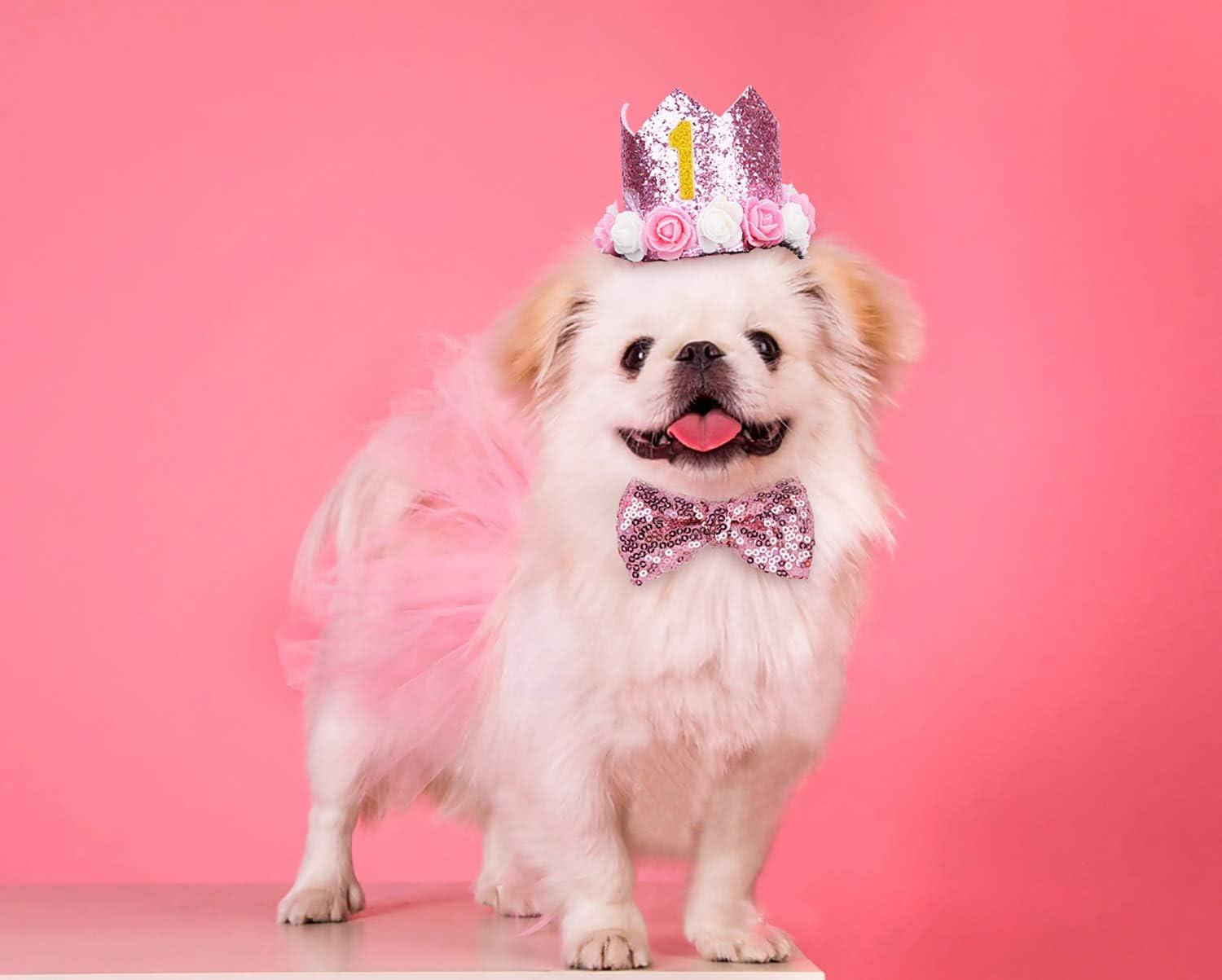 birthday dress for dogs Dog Dress, Female dog dress, shihtzu birthday dress, dog birthday dress –  Puppiezo