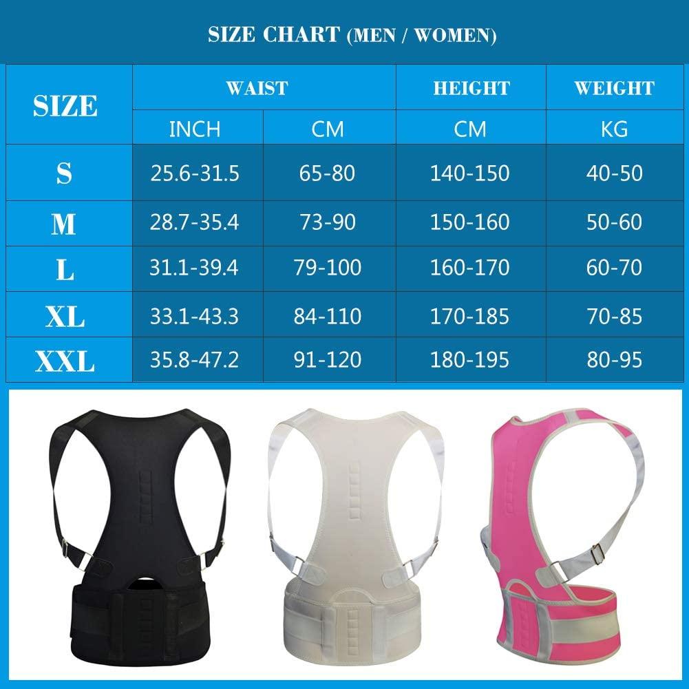 Posture Support Belt , posture, Size: Free Size at Rs 135 in Surat
