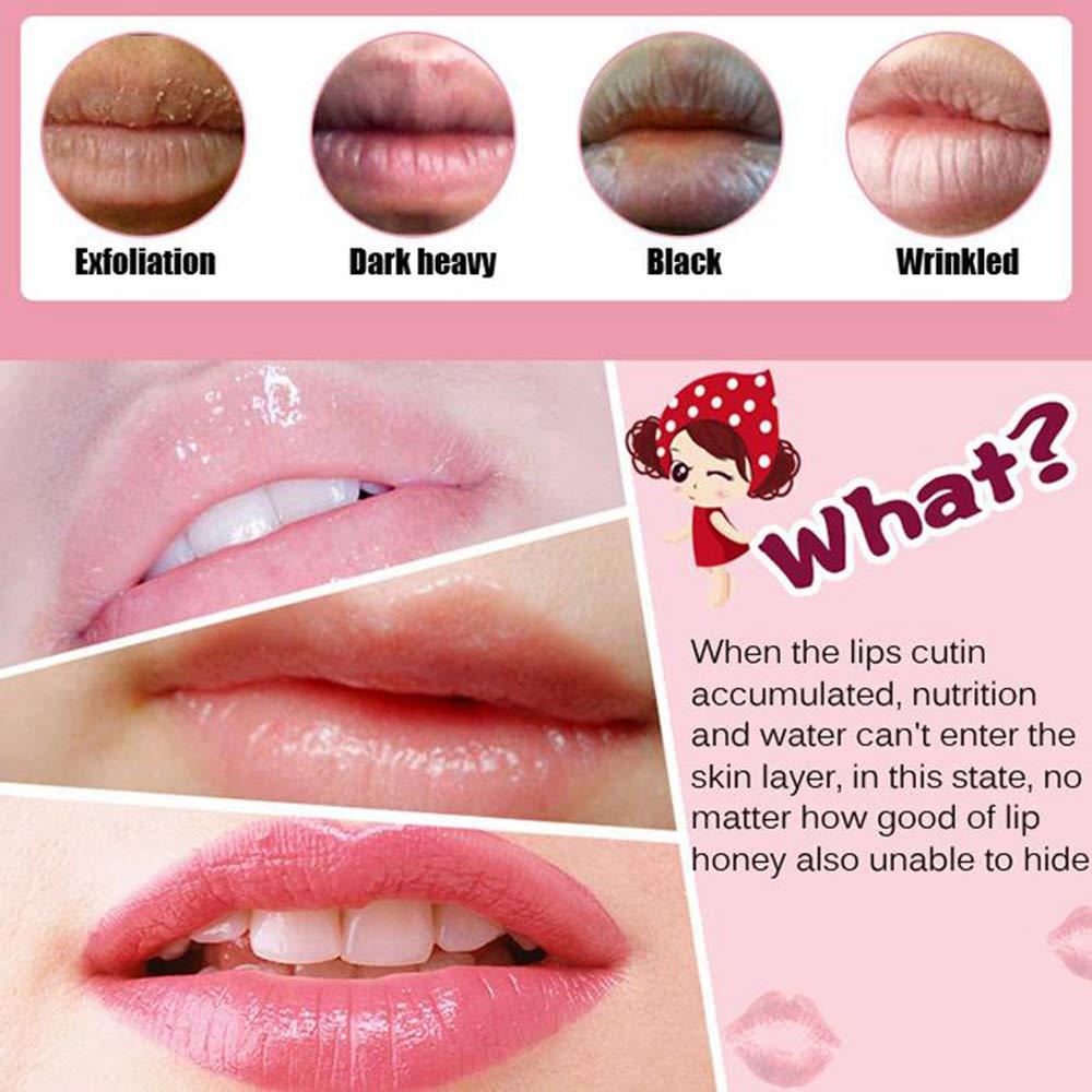 Lip Balm Moisturizing Honey Oil Lip Mask Nourishing Anti-wrinkle