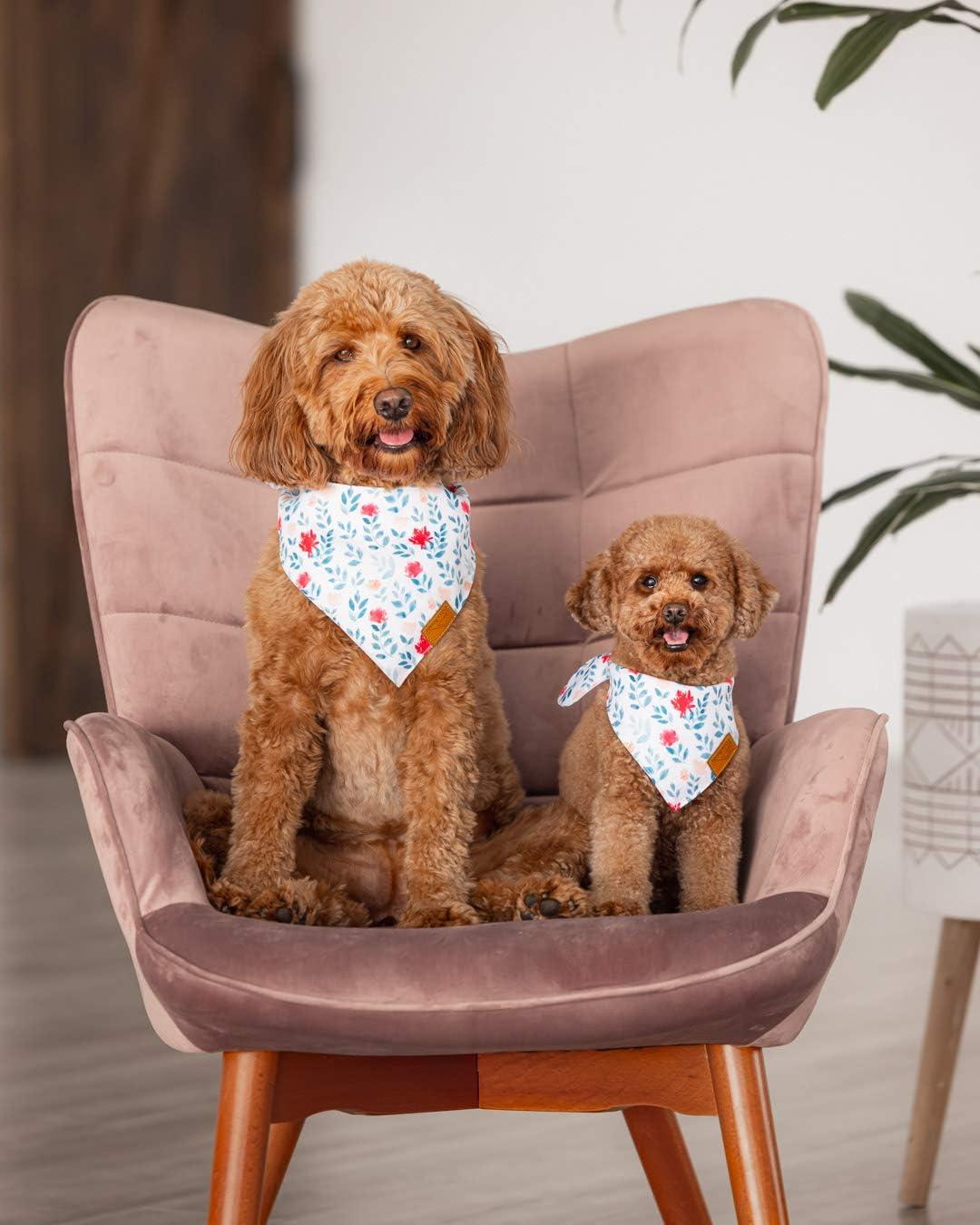 Remy and top roo bandanas