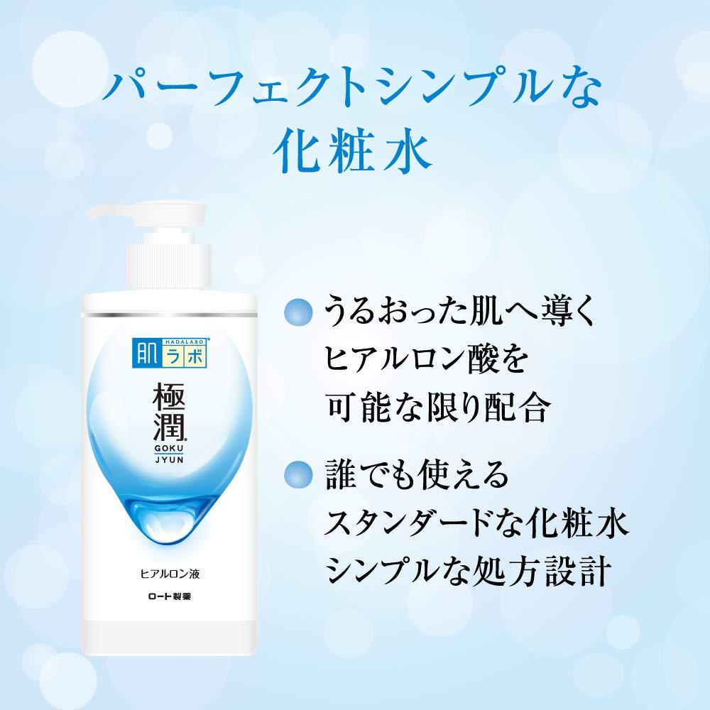 Hada Labo Rohto Hadalabo Gokujun Hyaluronic