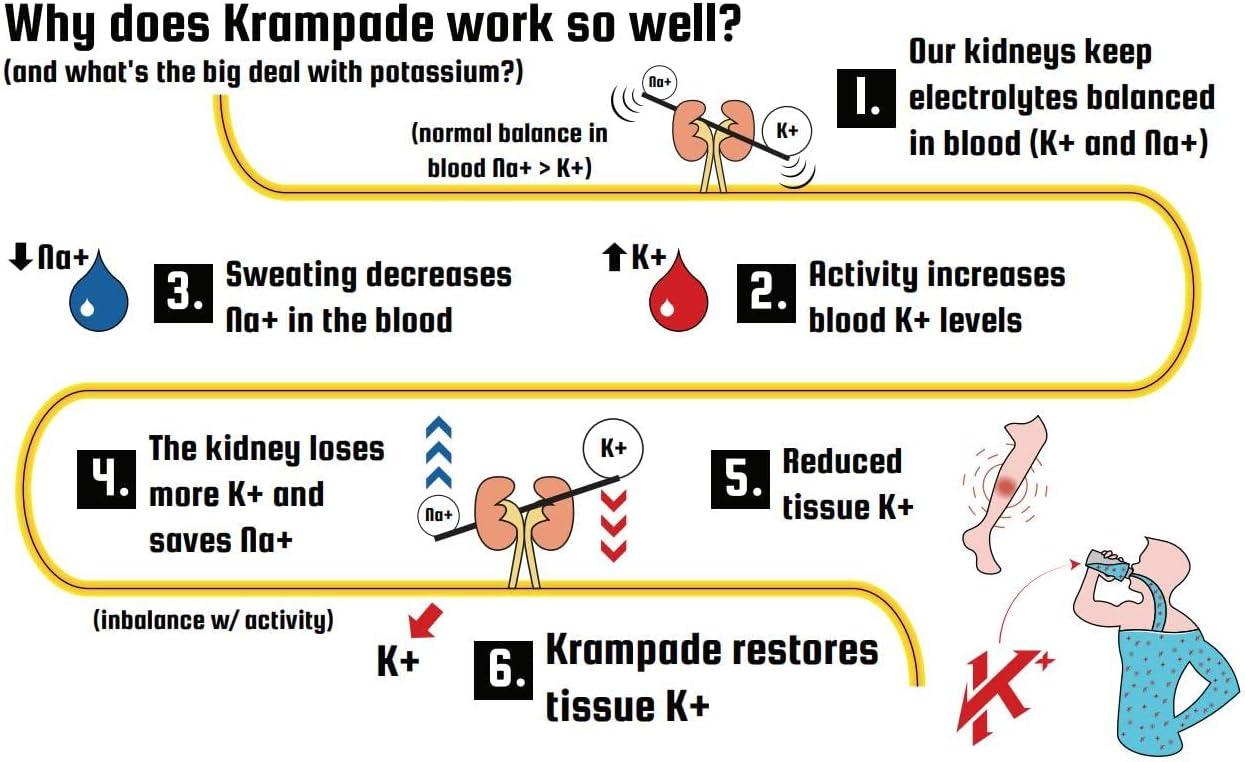 Krampade 2.0 2K Zero Sugar Electrolyte Drink Powder Cramp Relief with