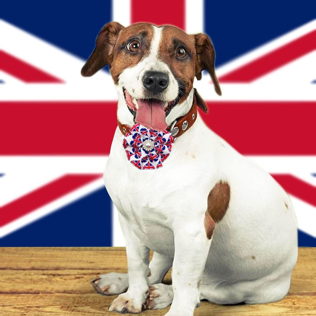 union jack dog bowtie