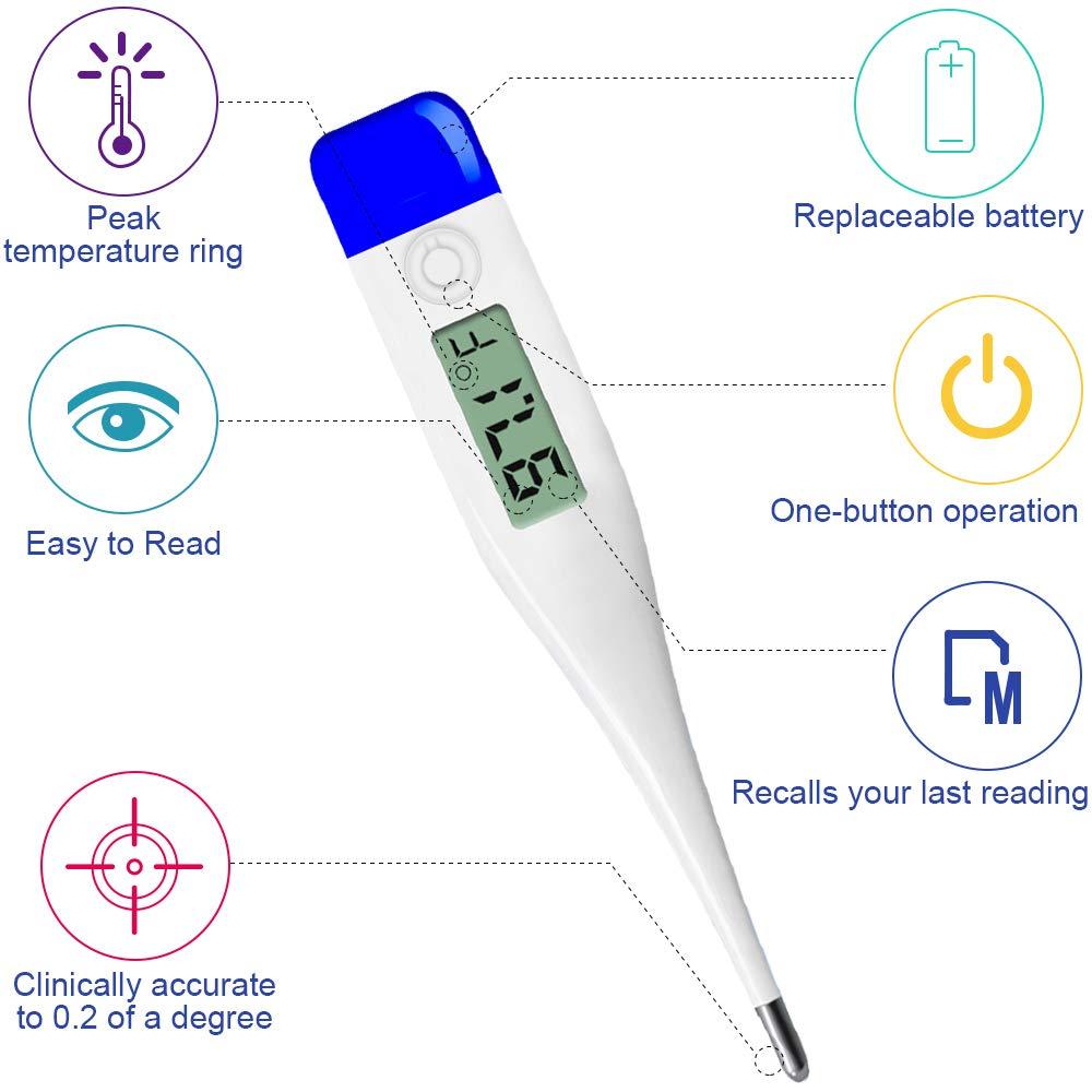 QQcute Digital Body Thermometer - Clinical Basic Thermometer with Accurate  and Fast Readings - Underarm, Oral, Rectal Thermometer