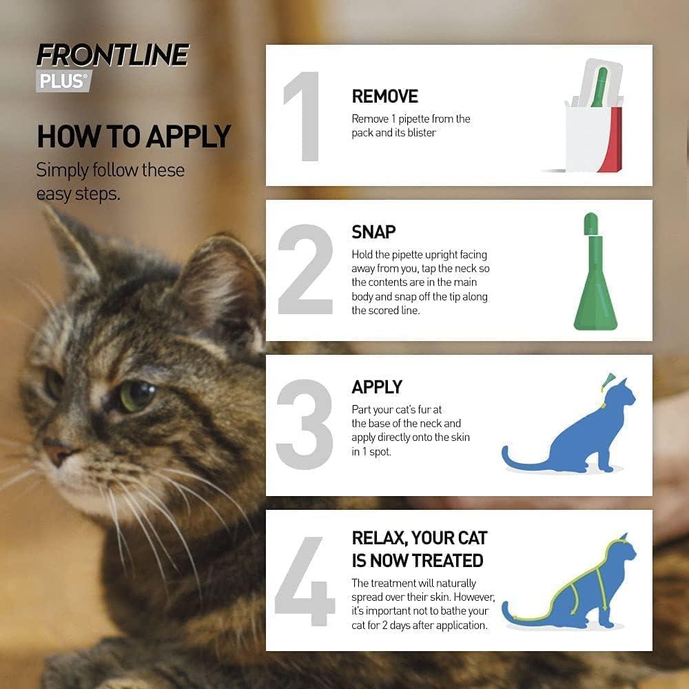 frontline plus spot on cat 6 pipettes