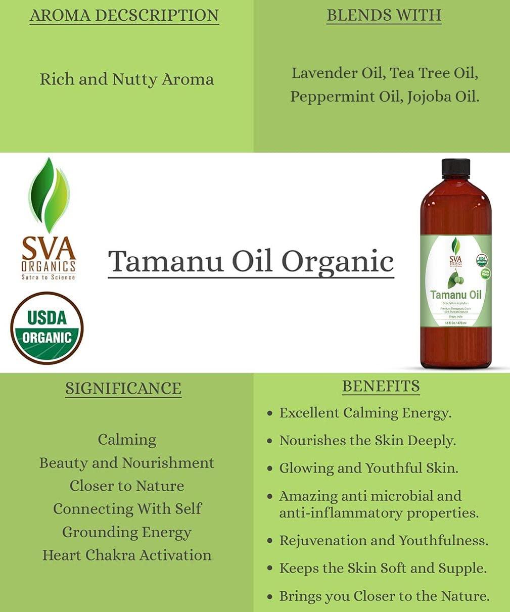 What Is Tamanu Oil and Can It Effectively Treat Acne Scars? | Allure