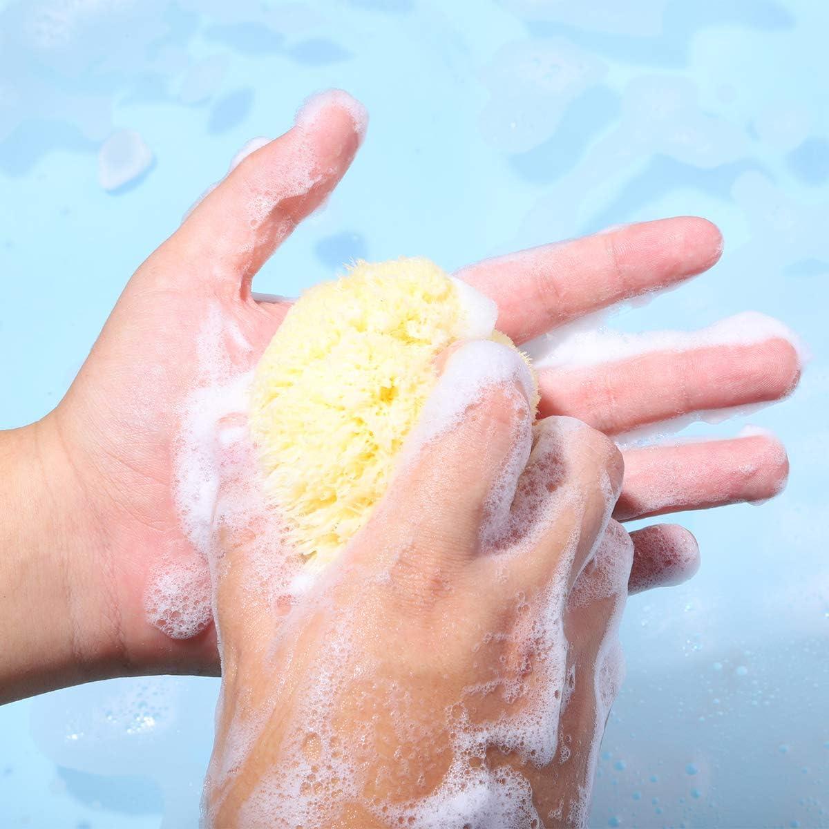 Premium 4 Yellow Sea Sponge for Bath Time