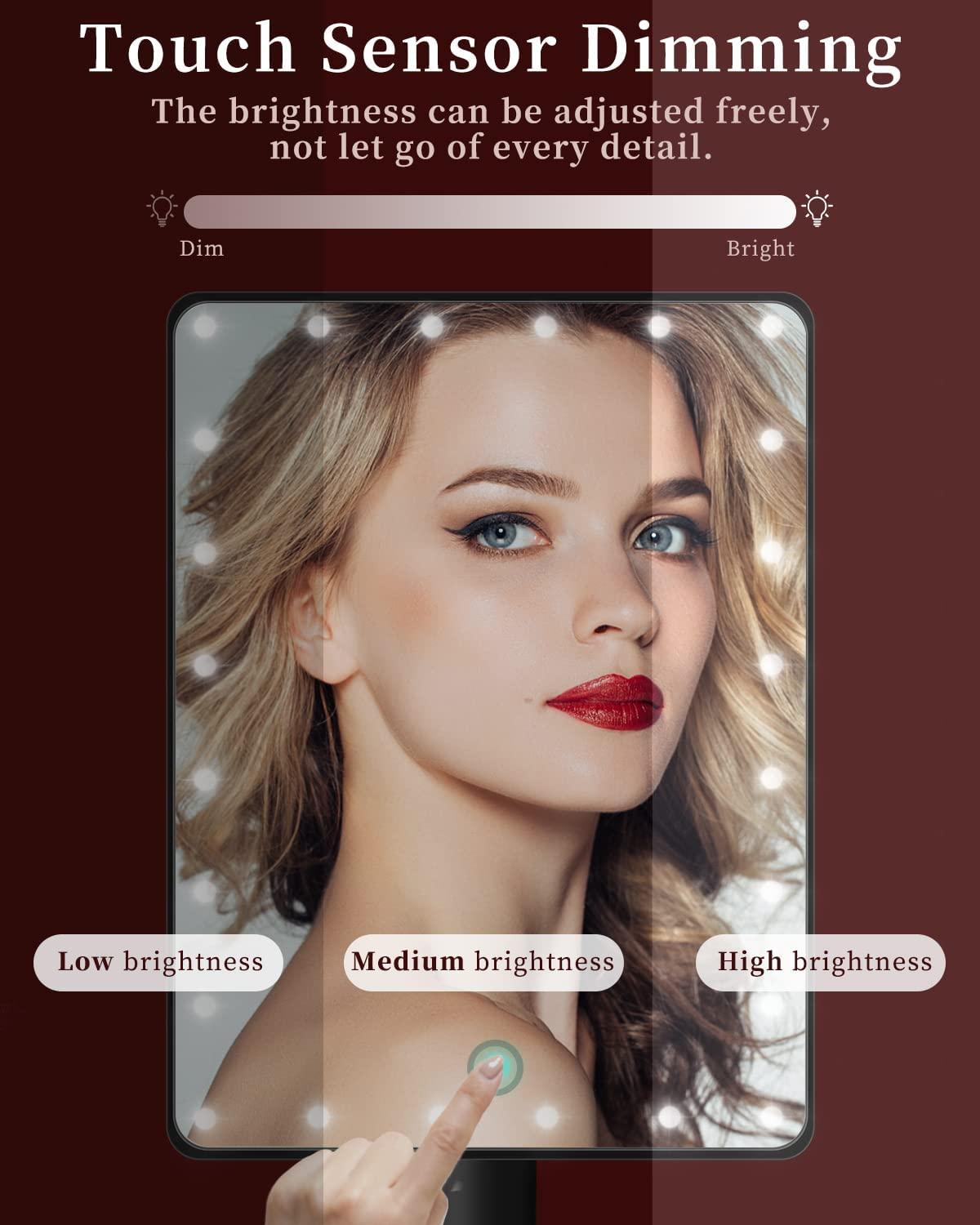 12" Large Makeup Mirror with Lights and 10X Magnification Small Mirror