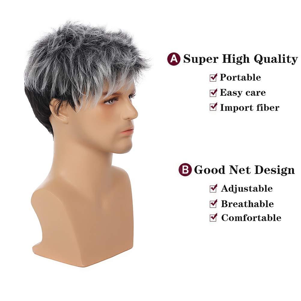 Sallcks Mens Grey Wig Short Layered Gray Mixed Black Natural Synthetic Halloween Cosplay Costume