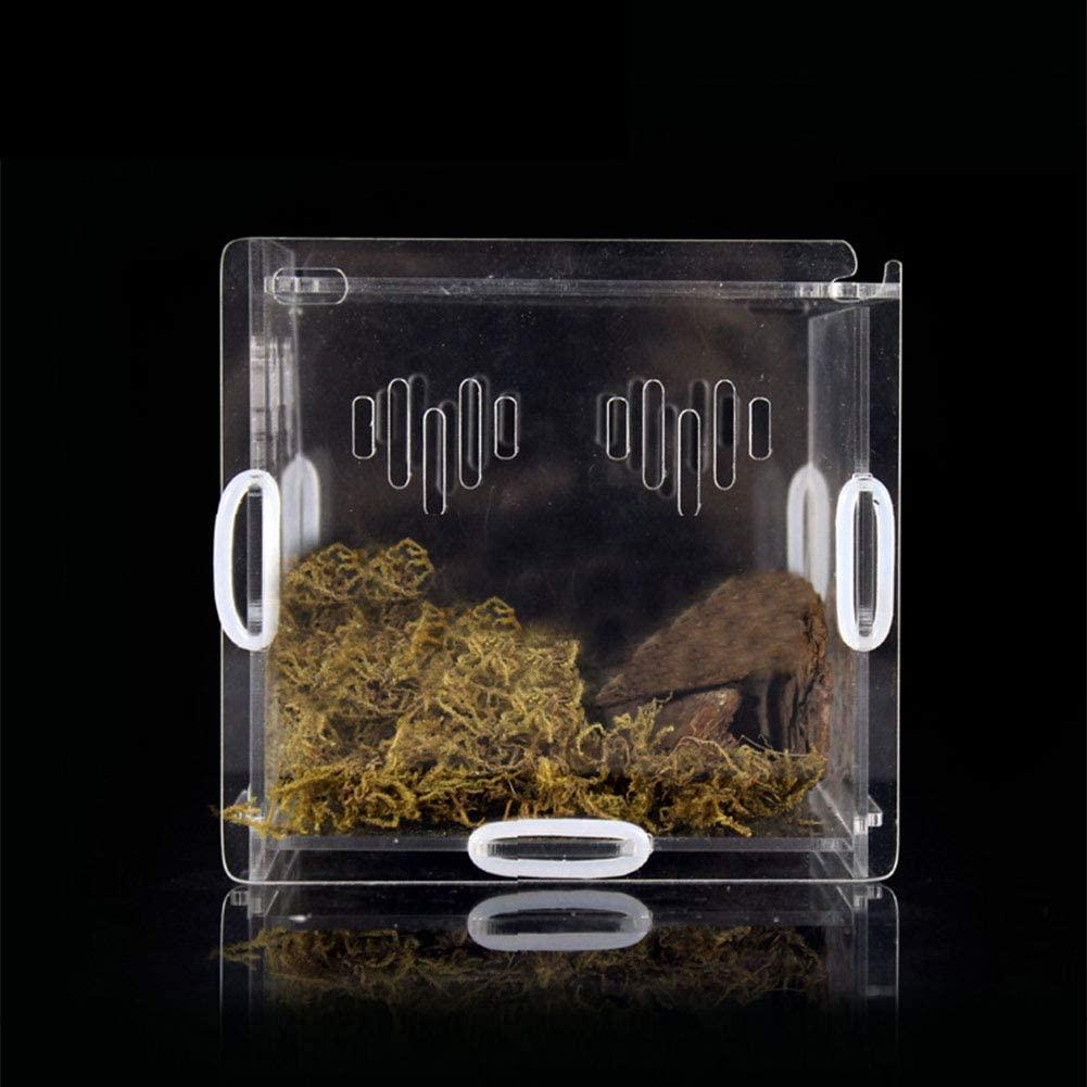 OMEM Transparent Acrylic Pet Reptile Box-Pet Reptile Combination ...