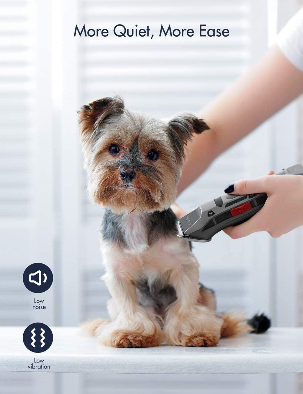 quiet low vibration dog clippers Sex Toys and STIs: 20 Facts About Risk, Safer Sex, Cleaning, More