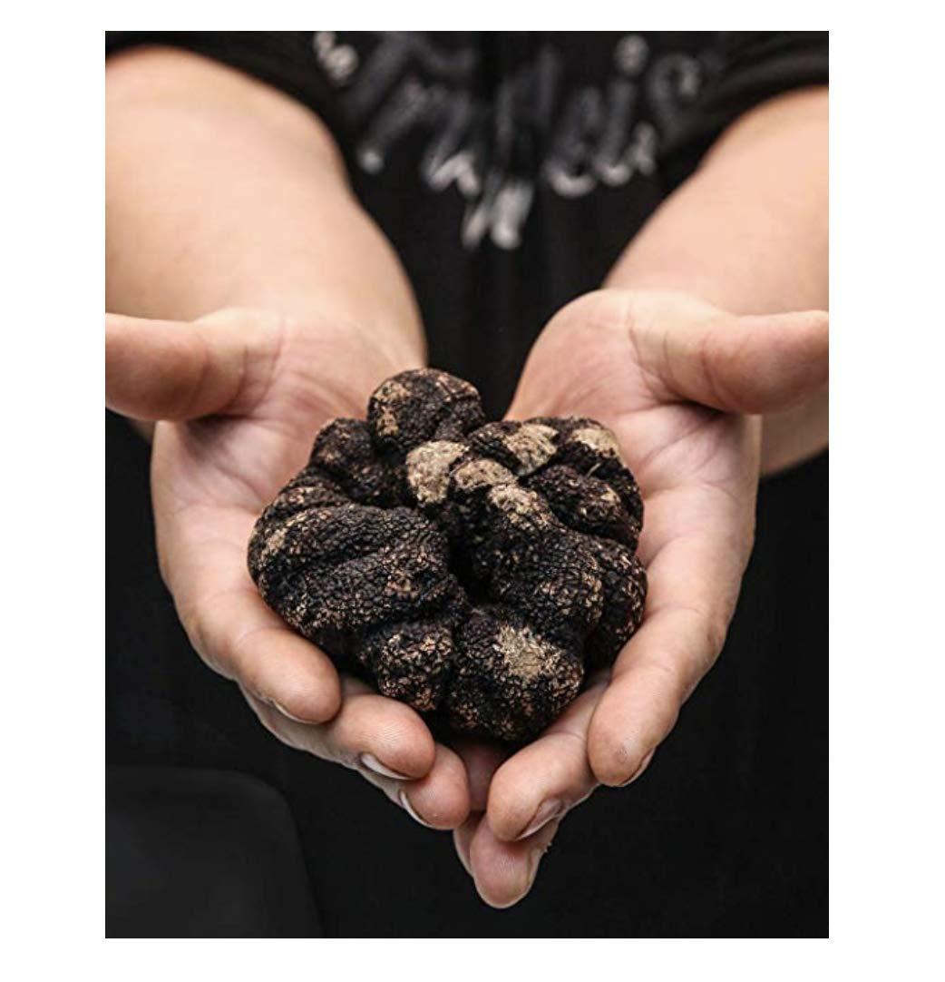 The Truffleist Black Truffle Olive Oil 8.5 Fl Oz