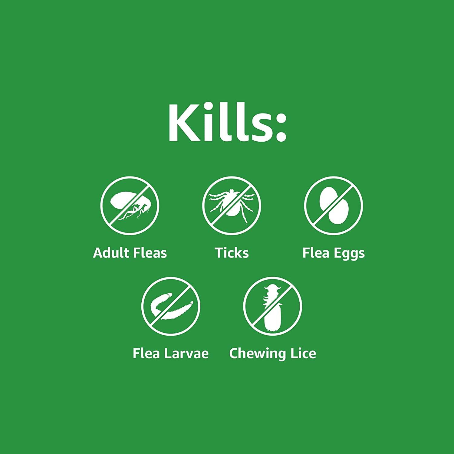 Amazon Basics Flea and Tick Topical Treatment for Cats over 1.5 pounds