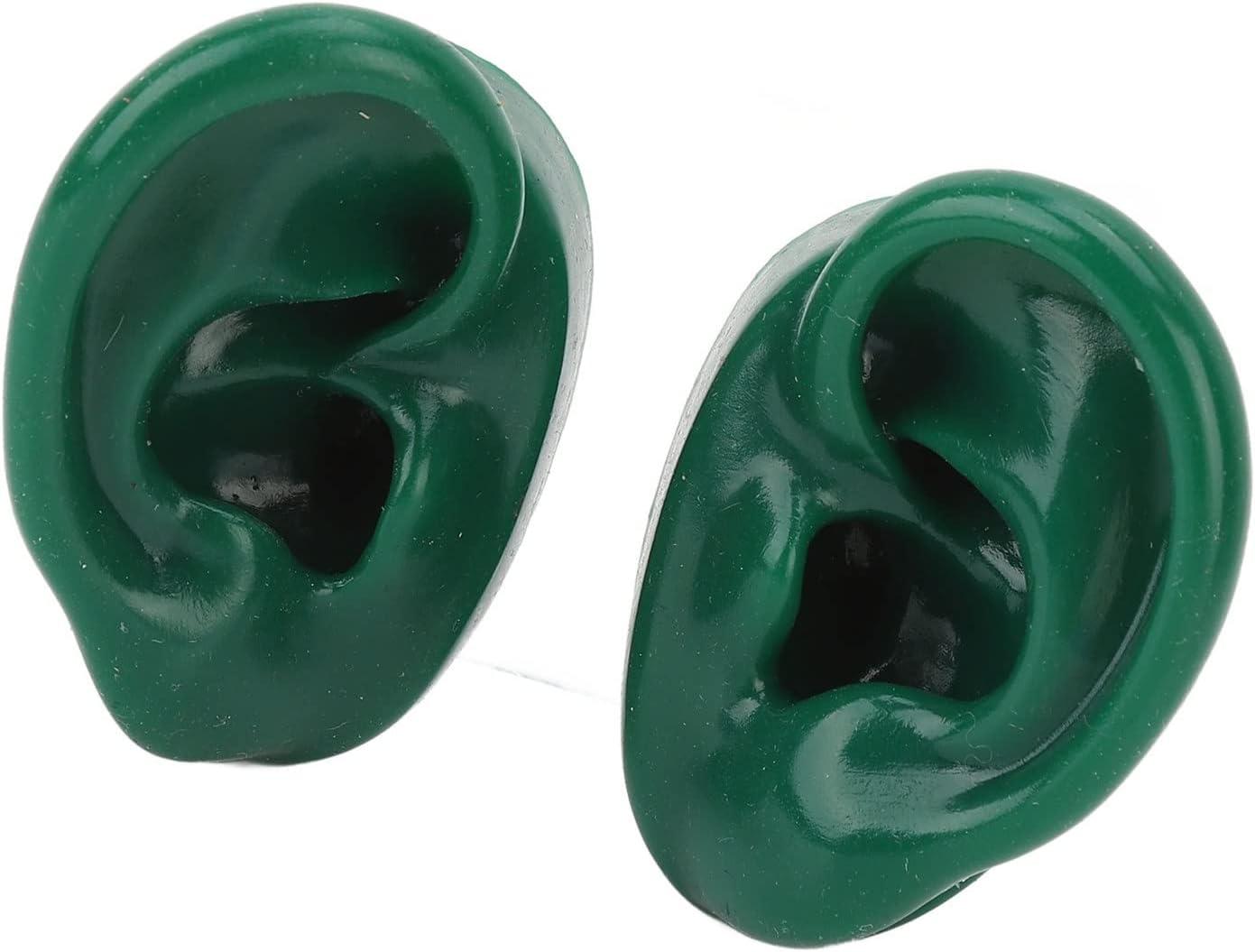 Silicone Ear Model Soft Simulated Pair Human Ear Model Display Soft