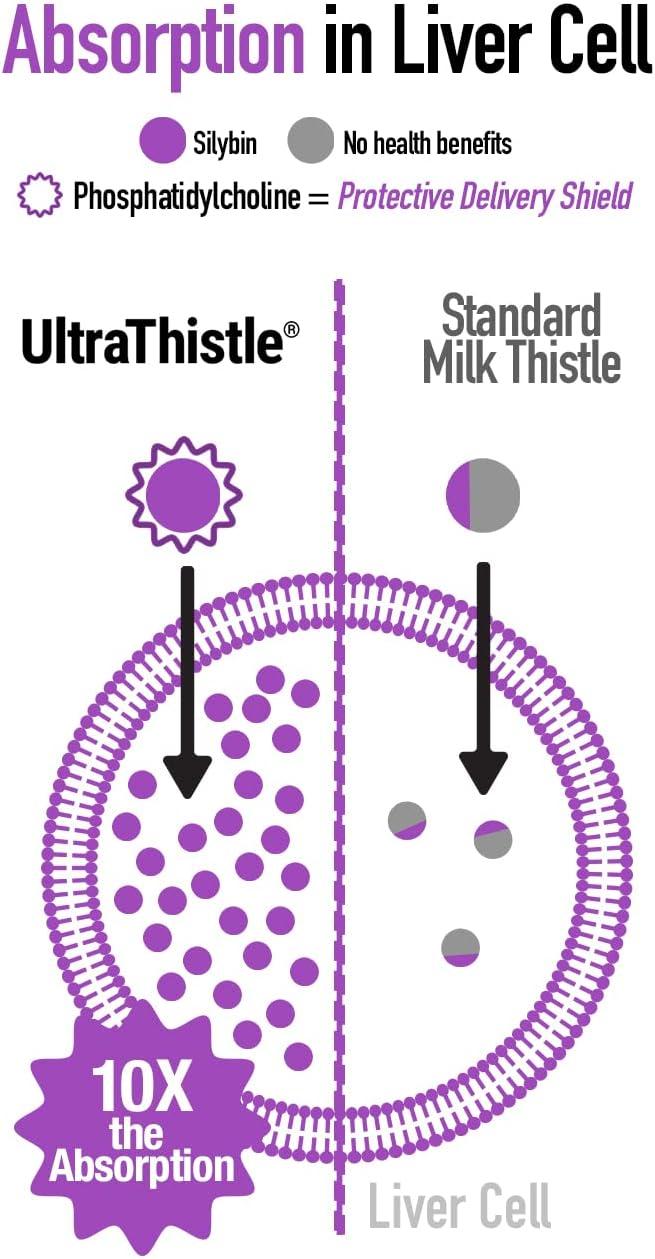 Herbal Liver Cleanse & Detox Milk Thistle Formula UltraThistle Pure