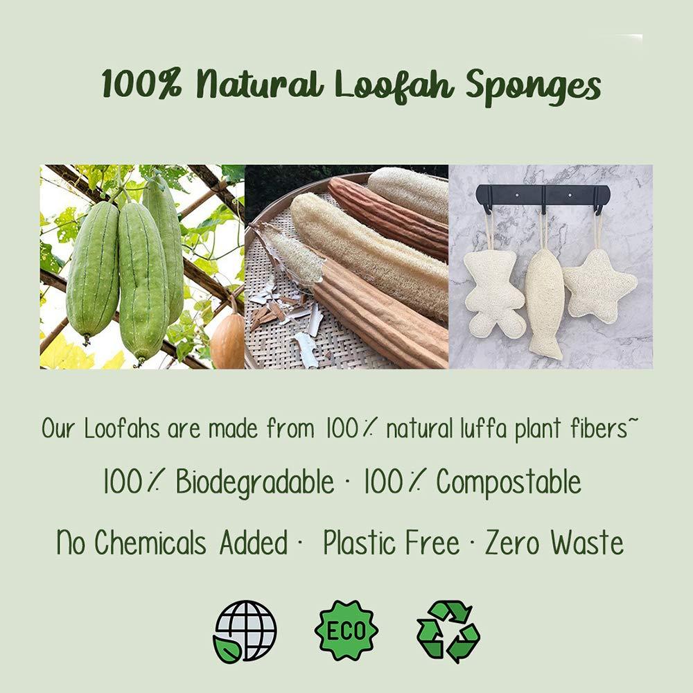 Loofah Body Sponge, From a Natural Plant, Plastic-Free