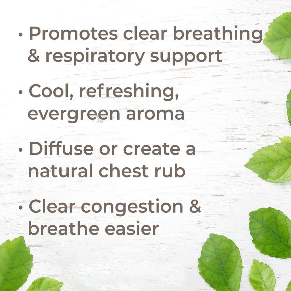 Plant Therapy Respir Aid Essential Oil Blend 10 mL (1/3 oz) Sinus
