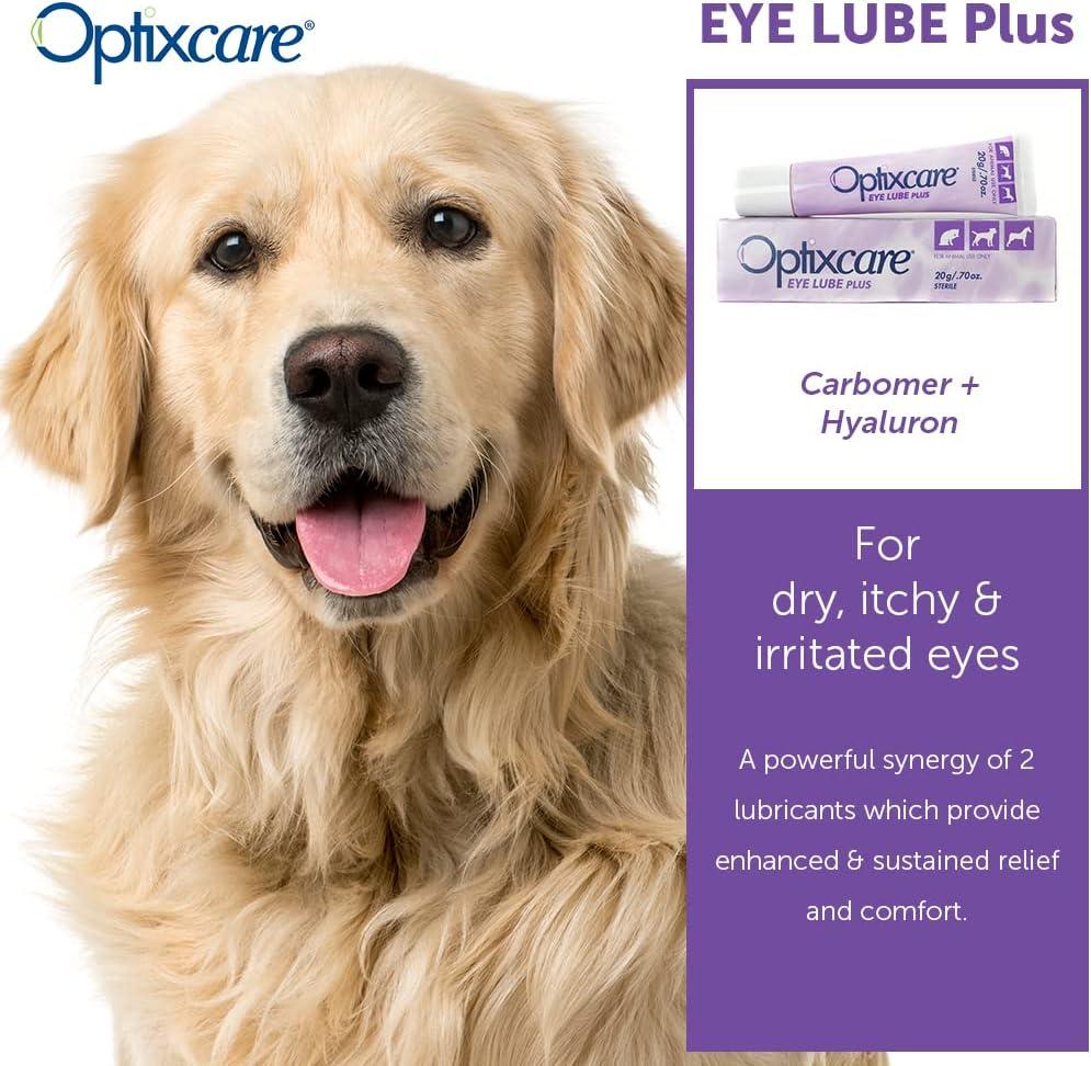 OptixCare Dog & Cat Eye Lube Plus Hyaluron Lubricating Gel Hyaluron (20 g) | Buy Now with Express International Delivery | GoSupps.com OptixCare Dog & Cat Eye Lube Plus Hyaluron Lubricating Gel Hyaluron (20 g) | Buy Now with Express International Delivery | GoSupps.com