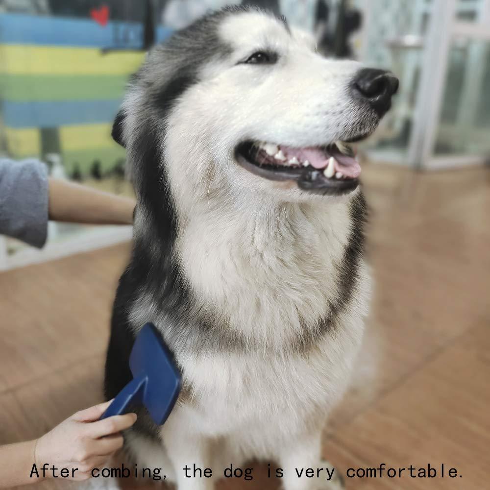 Slicker Brush For Small Dogs Dog Slicker Brush, Dog Brush For Long