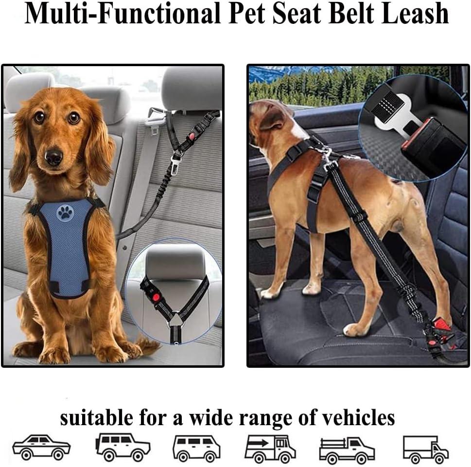 Dog Seat Belts for Car 2 Pcs Dog Tether with Elastic Bungee Buffer  Adjustable Dog Car Seatbelts and Strong Leash Leads Accessories for Dogs  Cats Pets Purple | Buy Now with Express